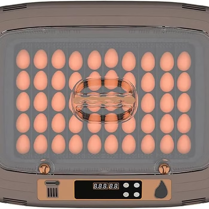 Egg Incubator 50 Eggs Hatching Incubator Automatic Egg Turning and Temperature