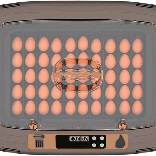 Egg Incubator 50 Eggs Hatching Incubator Automatic Egg Turning and Temperature