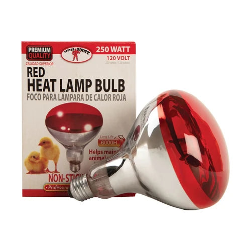 LITTLE GIANT  MILLER MANUFACTURING 250 Watt Red Bulb For Brooder Lamp